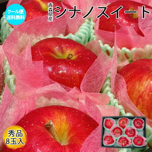   l XY VimXC[g Gi ϔ 8 Zbg l t[c  蕨 Mtg v[g