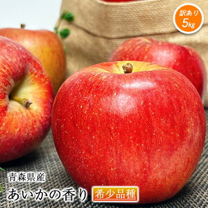  󂠂 5kg ̂ XY ̍ 5kg  󏭕i