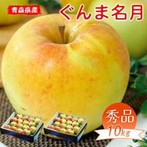 �e���r�ŏЉ�ꂽ ��� 10Kg �������� �X���Y ����ܖ��� �G�i 10kg �i5Kg�̉��ϔ�×2���j ���� ��� �X ����� ���� ��� 10Kg ���i �M�t�g ���Ε� �M�t�g