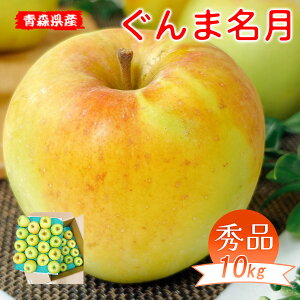 erŏЉꂽ  10Kg  XY ܖ Gi 10kg Ynp   X    10Kg i Mtg Ε Mtg