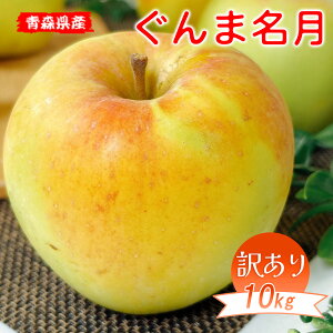 erŏЉꂽ  10Kg 󂠂 XY ܖ 10kg  󂠂 X 10kg  ܂߂