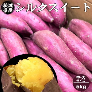 ܂ 5kg -TCY  VNXC[g 錧Y VNXC[g L-2LTCY 5kg 10-20{ Â  ܈ 