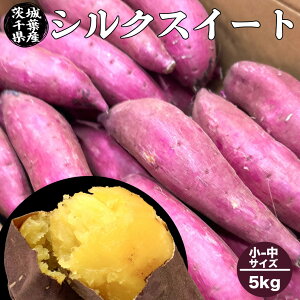 ܂ 5kg -TCY  VNXC[g 錧tY VNXC[g S-MTCY 5kg 25-47{ Â  ܈ 