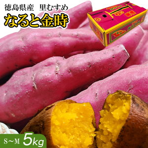 ܂ 5kg -TCY  ȂƋ Y  S-MTCY 25-47{ Â  ܈ 