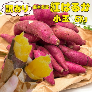 ܂ 󂠂 5kg   g͂邩 F{Y g͂邩 KiOi TCY 25-80{ Â  ܈ 