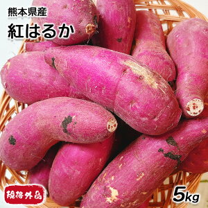 ܂ 󂠂 5kg   g͂邩 F{Y g͂邩 KiOi -TCY 10-45{ Â  ܈ 