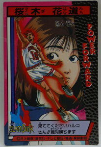 X_N@SLAMDUNK@XeIOvC[J[h@13@ ԓԖ q