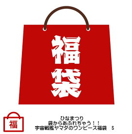 2020　ひなまつり　袋からあふれちゃう！！宇宙戦艦ヤマダのワンピース福袋　S　【ONE PIECE】【HappyBag】