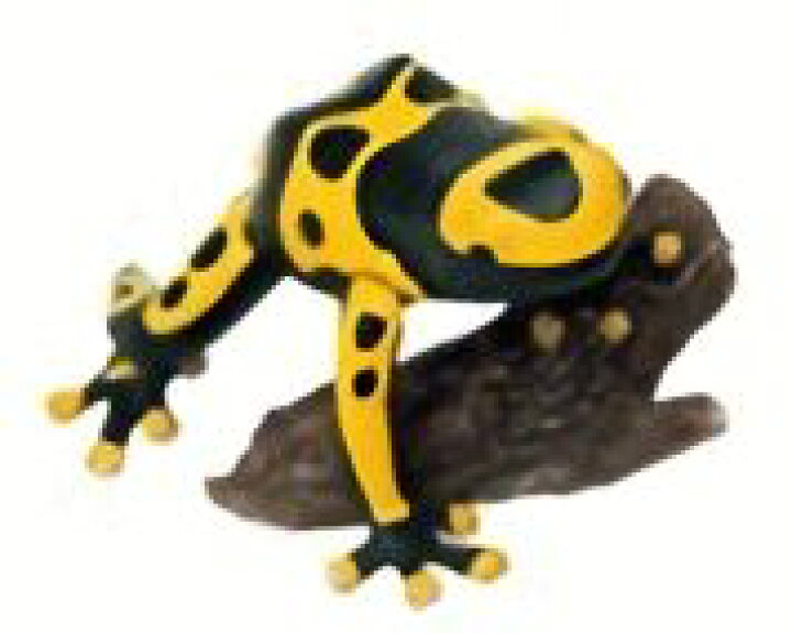 楽天市場 フルタ チョコエッグ 動物シリーズ 第7弾 おもしろ動物編 29 ヤドクガエル 中古 宇宙戦艦ヤマダ