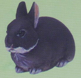 フルタ　チョコエッグ　021　ネザーランドドワーフ（黒）　ペット動物コレクション　第1弾　【中古】