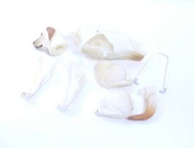 フルタ　チョコエッグ　シークレット　ラブラドールレトリバー　（盲導犬）白　ペット動物コレクション　第1弾　【中古】