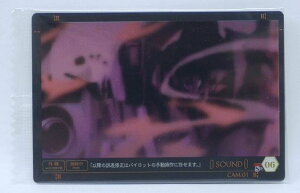 yJzG@QIVŁF@EGn[X@g[fBOJ[h@Chap1@S-06@EVA@@2032369