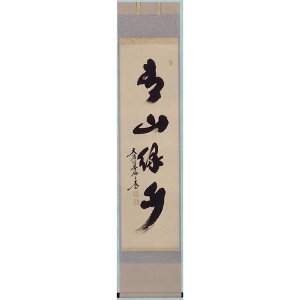 ポイント3倍以上(楽天カード利用) 茶道具 軸 一行物 「青山緑水」 小林太玄師 軸