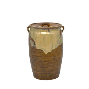 |Cg3{ȏiyVJ[hpj  wiE݂j אw   ^