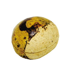 |Cg3{ȏiyVJ[hpj  ij vq  ɗ I O M