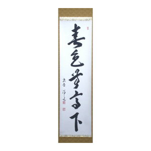 ポイント3倍以上(楽天カード利用) 茶道具 掛軸(かけじく) 軸 一行物 「春色無高下」 大徳寺 興臨院 福代洋道師