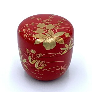 |Cg3{ȏiyVJ[hpj  iႫj   tG  @x