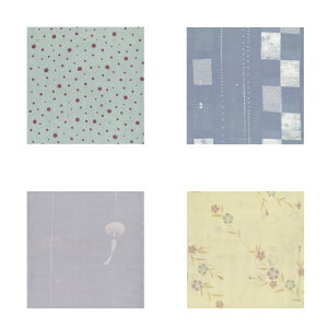  сiсEގсEӂj W FɑԖ͗lEʖ͗lEq͗lE͗l畿IтB