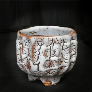 ポイント3倍以上(楽天カード利用) 茶道具 抹茶茶碗(まっちゃちゃわん) ネズミ志野 シノギ 茶碗 信楽焼 灰塚窯 木戸 貞昭