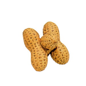 |Cg3{ȏiyVJ[hpj  Wuiӂj Ԑ Wu  Ǔ