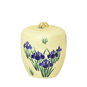 |Cg3{ȏiyVJ[hpj  wiE݂j w  m [߂̐ߋ  s