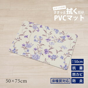 @ }bg 50×75cmwJe[ix@@[ Lb` 䏊 oX ʃ}bg t[}bg  r rj[ PVC k  R hJr h g[Ή NbV ׂ~ 