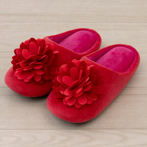 yNEWzԃ`[t XbpwSDS _Ax[ 􂦂 EHbVu [V[Y fB[X 킢  KNG [Xbp Xbp   ̓ Mtg 22.5-24.5cm