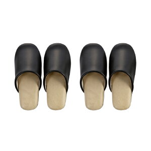 Xbp F 2ZbgwoCJ[ Sx21-22.5cmiubN O[ bh CG[j[ @  U[ tFCNU[ rj[ Xbp ӂ낤   F  NAZ]