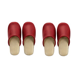 Xbp F 2ZbgwoCJ[ Sx21-22.5cmiubN O[ bh CG[j[ @  U[ tFCNU[ rj[ Xbp ӂ낤   F  NAZ]