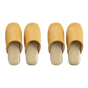 Xbp F 2ZbgwoCJ[ Mx22.5-24cmiubN O[ bh CG[j[ @  U[ tFCNU[ rj[ Xbp ӂ낤   F  NAZ]