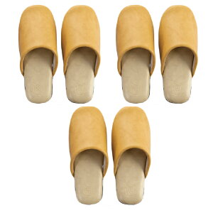 Xbp F 3ZbgwoCJ[ Mx22.5-24cmiubN O[ bh CG[j[ @  U[ tFCNU[ rj[ Xbp ӂ낤   F  NAZ]