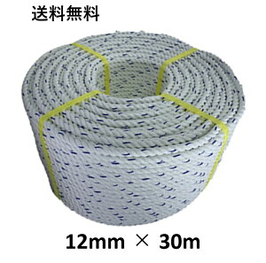 @XpGXe[v GXeXp[v 12mm×30m j[v Oł [v  {[g[v AJ[[v WD W {[g ₢[v d CJ gq eg H