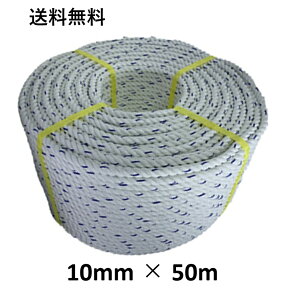@XpGXe[v GXeXp[v 10mm×50m j[v Oł [v  {[g[v AJ[[v WD W {[g ₢[v d CJ gq eg H