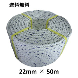 @YFC XpGXe[v GXeXp[v 22mm×50m j[v Oł [v  {[g[v AJ[[v WD W {[g ₢[v d CJ gq eg 