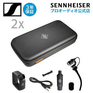 Neumann mC} MCM 114 STEREO SET PIANO XeIZbg sAm yKiz 008712 ~j`ANbv}CNtH [J[ۏ3N