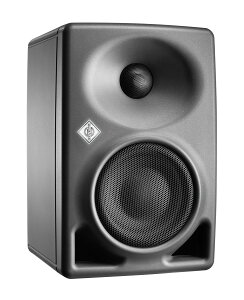 Neumann mC} KH 80 DSP yKiz j^[Xs[J[ 1 [J[ۏ2N oCAv 2EFC 4h+1hhCo[ tbgȃTEh
