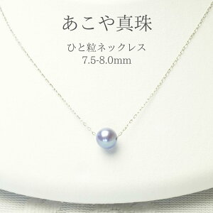 ySz^ p[lbNX p[y_g p[ ЂƗ ꗱ w Ǝ s    \ Zj[ rWlX JWA tH[} o