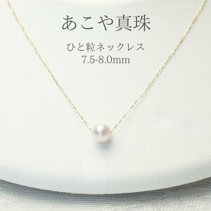 ySz^ p[lbNX p[y_g p[ ЂƗ ꗱ w Ǝ s    \ Zj[ rWlX JWA tH[} o