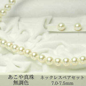 ySz^ F i`zCg p[lbNX w Ǝ s   OB \ Zj[ rWlX JWA tH[} o f[g