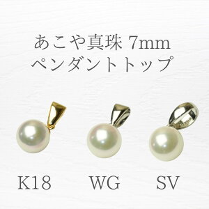 ySz^ p[lbNX p[y_g p[ ЂƗ ꗱ w Ǝ s    \ Zj[ rWlX JWA tH[} o