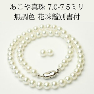 ySzԎ ^ Ԏӕʏ 2_Zbg {^ p[lbNX lbNX p[CO p[sAX zCgS[h Vo[ WG SV tH[} w Ǝ 