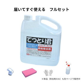 鉄粉除去剤 中性 4L スプレーですぐ使えるセット 洗車用 下地処理 | てつとり君