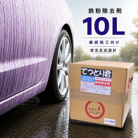 【大容量】鉄粉除去剤 業務用 10L 中性 大容量 鉄粉取り 車 鉄粉クリーナー 洗車 下地処理 プロ仕様 |てつとり君