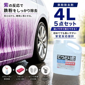 【残り3点】鉄粉除去剤 4L 中性 鉄粉取り 車 業務用 鉄粉クリーナー 洗車 下地処理 5点セット | てつとり君