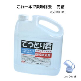 鉄粉除去剤 中性 4L 業務用 洗車 下地処理 | てつとり君