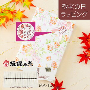 yhV̓bsOzK۔T  i V MA-100A 72 Kۂ̎ f ߂ (kCꑗʓr)