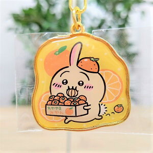 ya̎R _CJbgL[z_[i݂Ejz֐@ߋE@킩܁@n@@@ETM@e@~J@Ȃ񂩏Ă킢@iKm搶@L