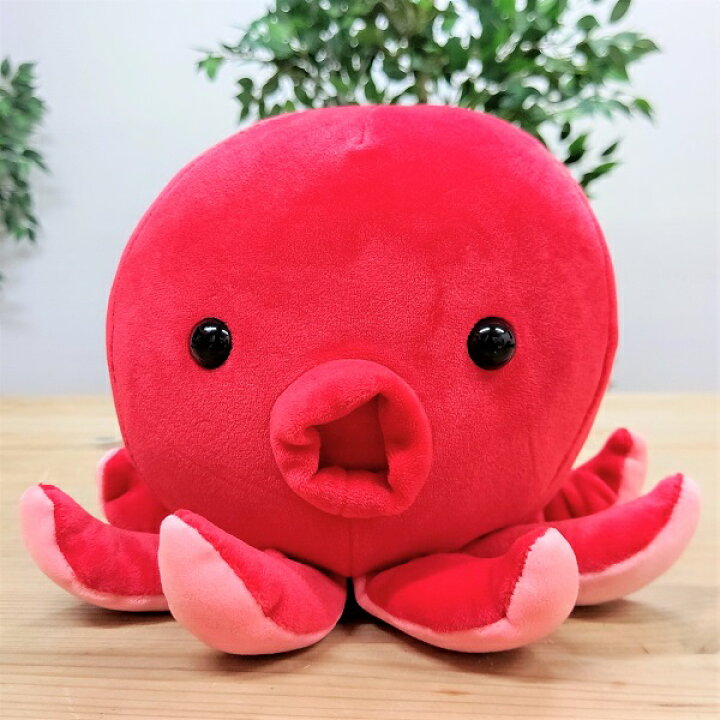 楽天市場】【ぷてぃまりん ゆるふわぬいぐるみ（タコ）中】ぬいぐるみ 