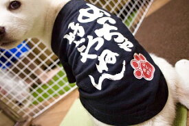 【大阪弁わんこTシャツ(M)】犬の服 DOG　小型犬 ポメラニアン　豆柴　パピヨン　チン　大阪 お土産 ドッグウェア　ペット商品　犬用品　映え服　お散歩　犬服　犬用服　犬洋服「ポスト投函のため日付指定不可」