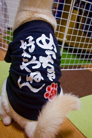 楽天市場 大阪弁わんこｔシャツ L 犬の服 Dog 小型犬 トイプードル マルチーズ パグ シーズー 豆柴 大阪 お土産 ドッグウェア ペット商品 犬用品 映え服 お散歩 ポスト投函のため日付指定不可 なにわ名物いちびり庵